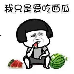 娱乐圈吃瓜有多累,揭秘明星幕后，揭秘你不知道的辛酸与真相